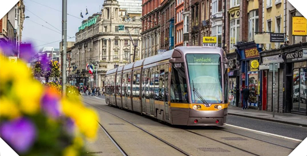 1625101966914238.jpg 4.jpg