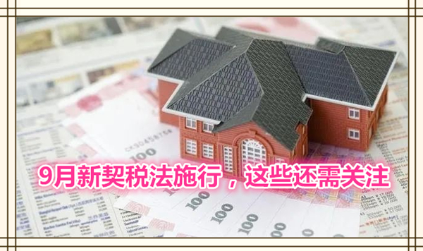 1631753800906155.jpg 2.jpg