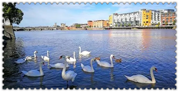 1632360463643829.jpg 3.jpg